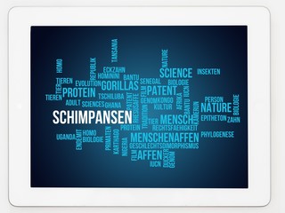 Wall Mural - Schimpansen