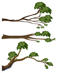 Wall Mural - Different shapes of branches