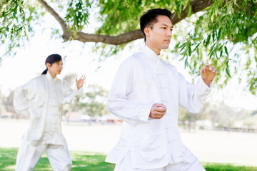 People practicing thai chi in park