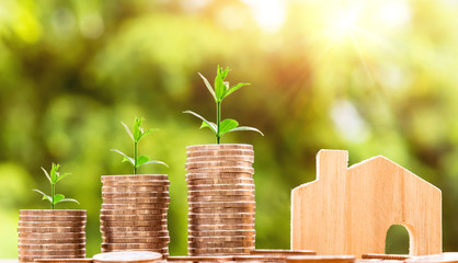 Wall Mural - step of coins stacks with wooden house model on table, nature background, money, saving and investment or family planning concept, over sun flare silhouette tone.