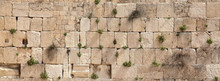 Panoramic View Of The Wailing Wall With Vegetation