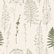 Vector seamless pattern  with hand drawn chicory, dill or fennel flowers,fireweed and fern leaves. Thin lines flowers and plants silhouettes in khaki green  on beige background with worn out texture.