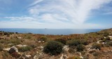 Fototapeta  - Brzeg morza śródziemnego na Malcie