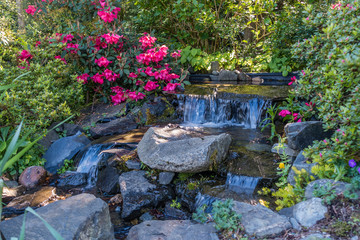 Wall Mural - Garden Stream Closeup