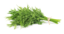 Bunch Of Fresh Green Dill Isolated On White Background