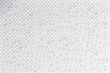 Vector set of realistic isolated water droplets on the transparent background.