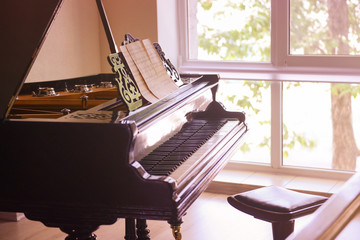 Poster - Black piano on light background