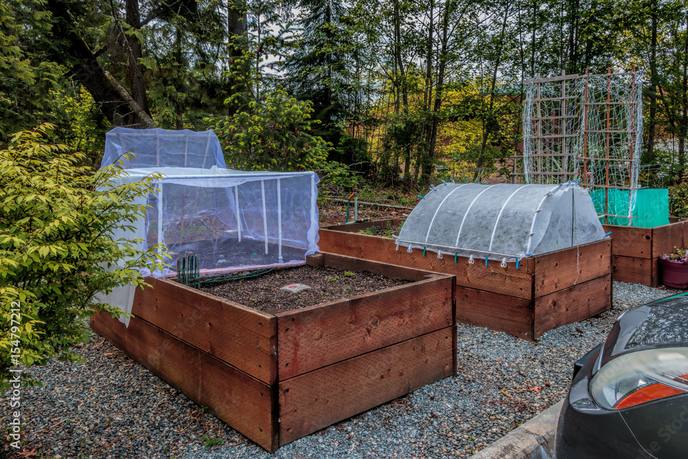 Urban Gardening Raised Beds And Plant Screen Protectors Raised