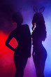 © Andrey Kiselev - party girls silhouettes