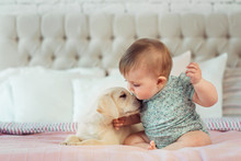 Little Baby Girl Sit On The Bed With Labrador Puppy