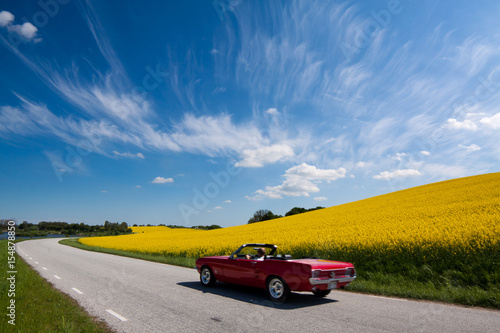 Fotografia, Obraz  Mustang cabriolet and canola fields