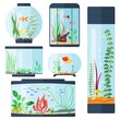 Transparent aquarium vector illustration isolated on white fish habitat aquarian house underwater tank bowl