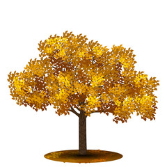 Wall Mural - detached tree with yellow leaves