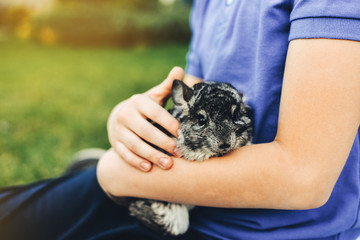 boy with chinchilla