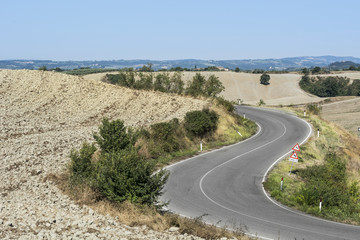 Canvas Print - Asphalt road between fields