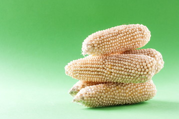 Sticker - Raw corn on a green background