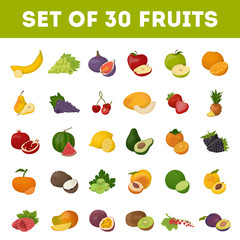 Wall Mural - Set of fruits.