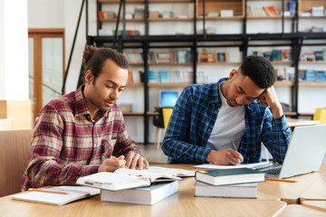 Sticker - Two multicultural male students studying with laptop