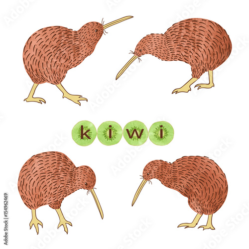 Set of watercolor Kiwi bird...