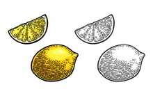 Lemon Slice And Whole. Vector Black And Color Vintage Engraving