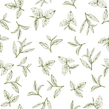 Seamless Pattern With Green Tea, Hand-drawn Leaves And Branches Of Tea