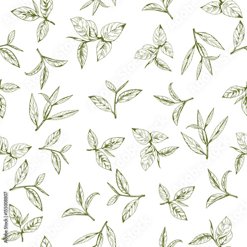 seamless-pattern-with-green-tea-hand-drawn-leaves-and-branches-of-tea