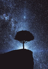 Tree in blue space