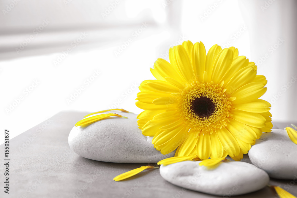 Spa stones and gerbera on gray table
