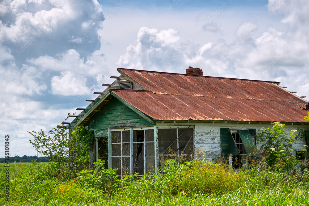 Rusty Tin Roof Shack In Weeds Stock Photo | Adobe Stock