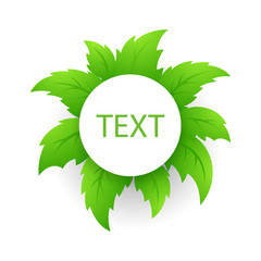 Circle on a background of tropical green leaves for text. Vector illustration.