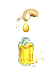 Poster - Natural cashew oil.Hand drawn watercolor