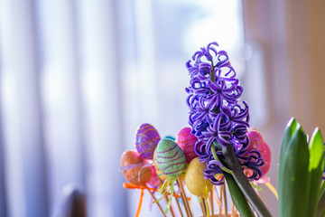 Wall Mural - Violet Hyacinth Flower and a Colorful Easter Glittery Plastic Eggs
