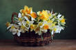 Yellow daffodils in a basket on the table.
