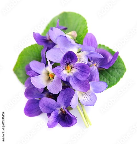 Photo: Bouquet of violets flowers . Bouquet of violets flowers .
