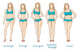 © vesnushki - Female body figures, woman shapes, five types