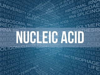 Wall Mural - Nucleic acid