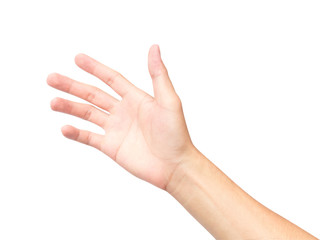 hand palms on white background with clipping path