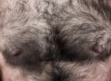 Man's Hairy Chest