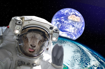 goat astronaut, showing tongue, in space on a background globe. elements of this image furnished by 