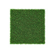 Square of green grass field on white. 3D illustration
