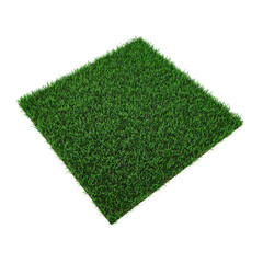 Wall Mural - Square of green grass field on white. 3D illustration