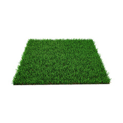 Wall Mural - Square of green grass field on white. 3D illustration