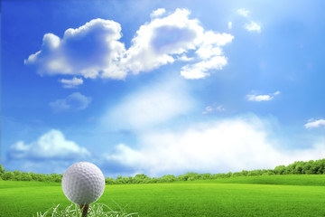 golf ball and tee on green grass