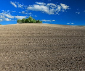 Poster - arable land and clouds