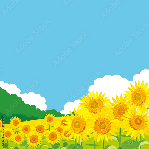 ひまわり 風景イラスト Adobe Stock でこのストックベクターを購入して 類似のベクターをさらに検索 Adobe Stock ひまわり 風景イラスト Adobe Stock でこのストックベクターを購入して 類似のベクターをさらに検索 Adobe Stock