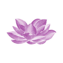 Watercolor Lotus Flower Vector Illustration