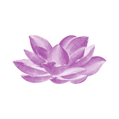 Wall Mural - Watercolor lotus flower vector illustration