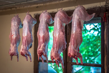 Poster -  Raw fresh rabbit meat