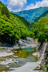 Wall Mural - 渓流と風景 日本 アジア