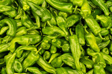 Green Peper Chili. Background